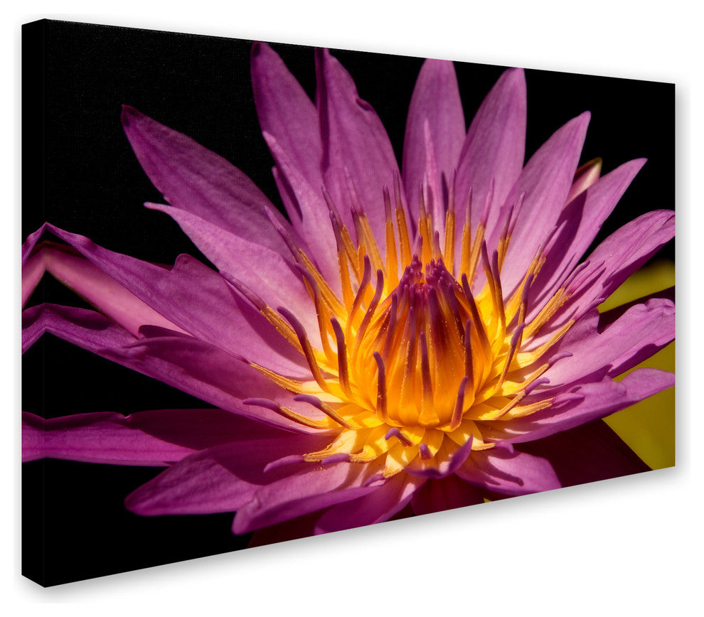 Mike Jones Photo 'Fairchild Gardens Lily' Canvas Art, 30x47