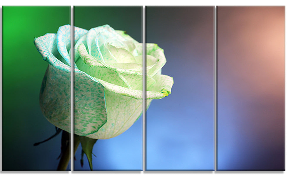 Beautiful White Painted Rose, Large Floral Canvas Art Print, 48"x28", 4 Panels