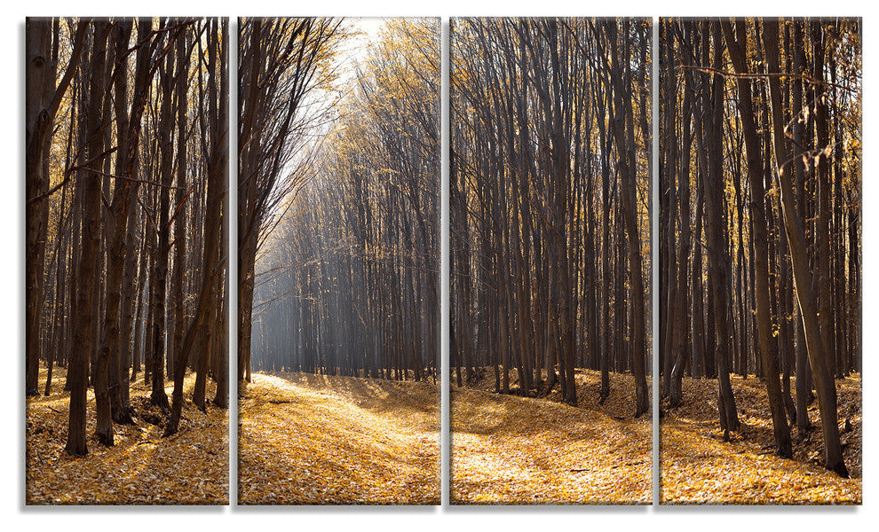 Light in the Forest Path Panorama, Forest Canvas Art Print, 48"x28", 4 Panels