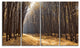 Light in the Forest Path Panorama, Forest Canvas Art Print, 48"x28", 4 Panels