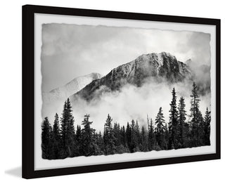 "Forest on Fog" Framed Painting Print, 18x12