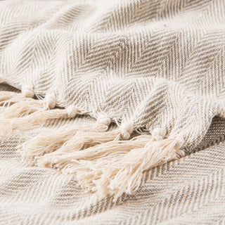Jaipur Living Cannon Chevron Throw, 50x60, Neutral Gray
