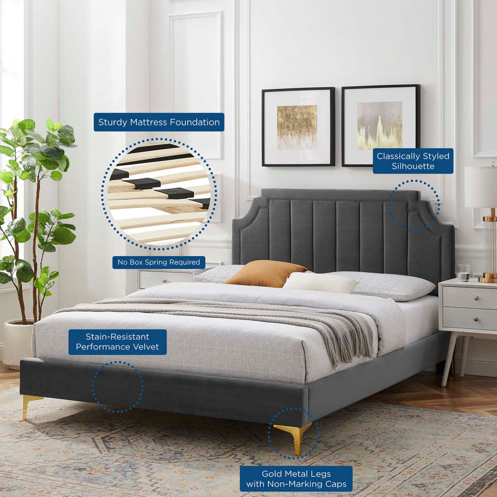 Platform Bed Frame, Queen Size, Velvet, Dark Gray, Modern Contemporary