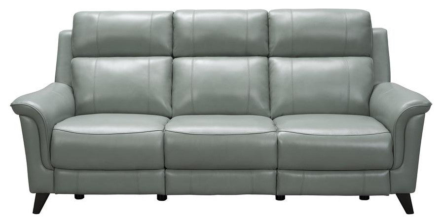 Kester Power Reclining Sofa w/Power Head Rests, Lorenzo Mint