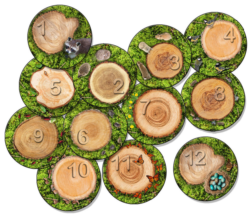 Flagship Carpets VA1003-S12FS 16" Set Of 12 Counting Seating Stumps Learning Rug