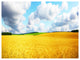 Beautiful Field Panorama, Landscape Canvas Art Print, 40"x30"