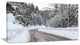 Foggy Winter Road in Slovenia, Large Landscape Canvas Art, 32"x16"