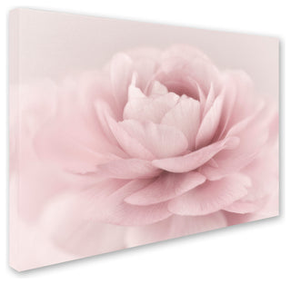 Cora Niele 'Stylisch Rose Pink' Canvas Art