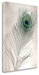 "Feathers - 11" By Alan Blaustein, Giclee Print on Gallery Wrap Canvas