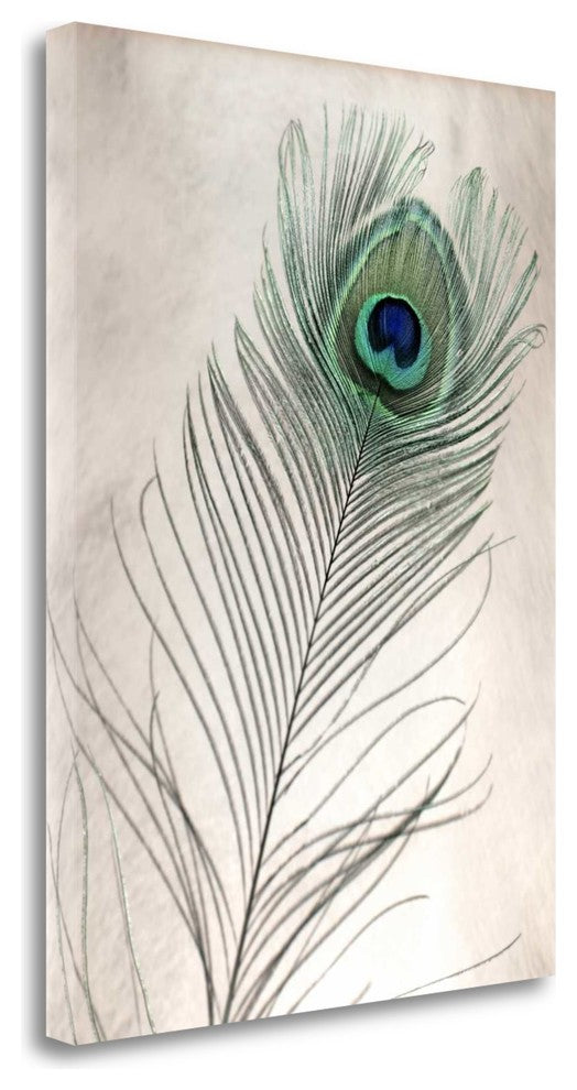 "Feathers - 11" By Alan Blaustein, Giclee Print on Gallery Wrap Canvas