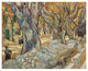 "Large Plane Trees, 1889" Digital Paper Print by Vincent van Gogh, 26"x22"