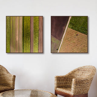 Farm Rows Diptych, 36x18