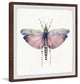 "Pink and Blue Wings" Framed Painting Print, 12"x12"