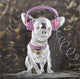 Musical Dog