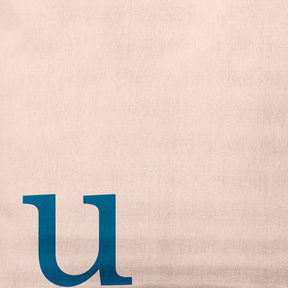 26"x26" Modern Monogram Decorative Throw Pillow, Autumn Blue