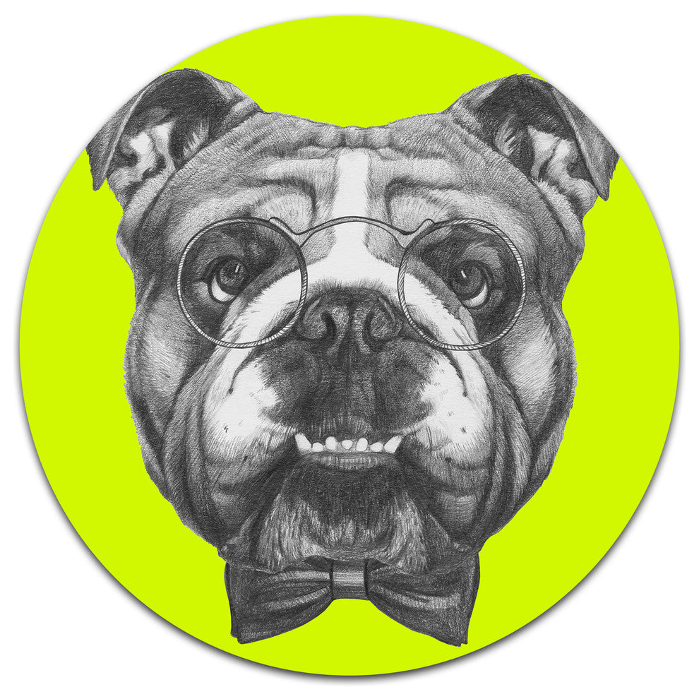 English Bulldog With Bow Tie, Animal Art Large Disc Metal Wall Art, 23"