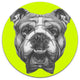 English Bulldog With Bow Tie, Animal Art Large Disc Metal Wall Art, 23"