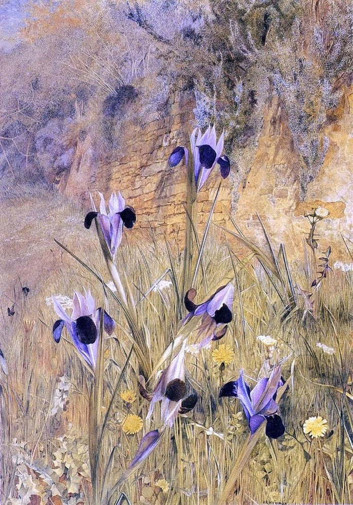 Henry Roderick Newman Irises in the Garden, Gallery Wrapped Canvas, 18"x27"