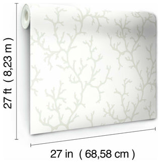 Coral Island Wallpaper