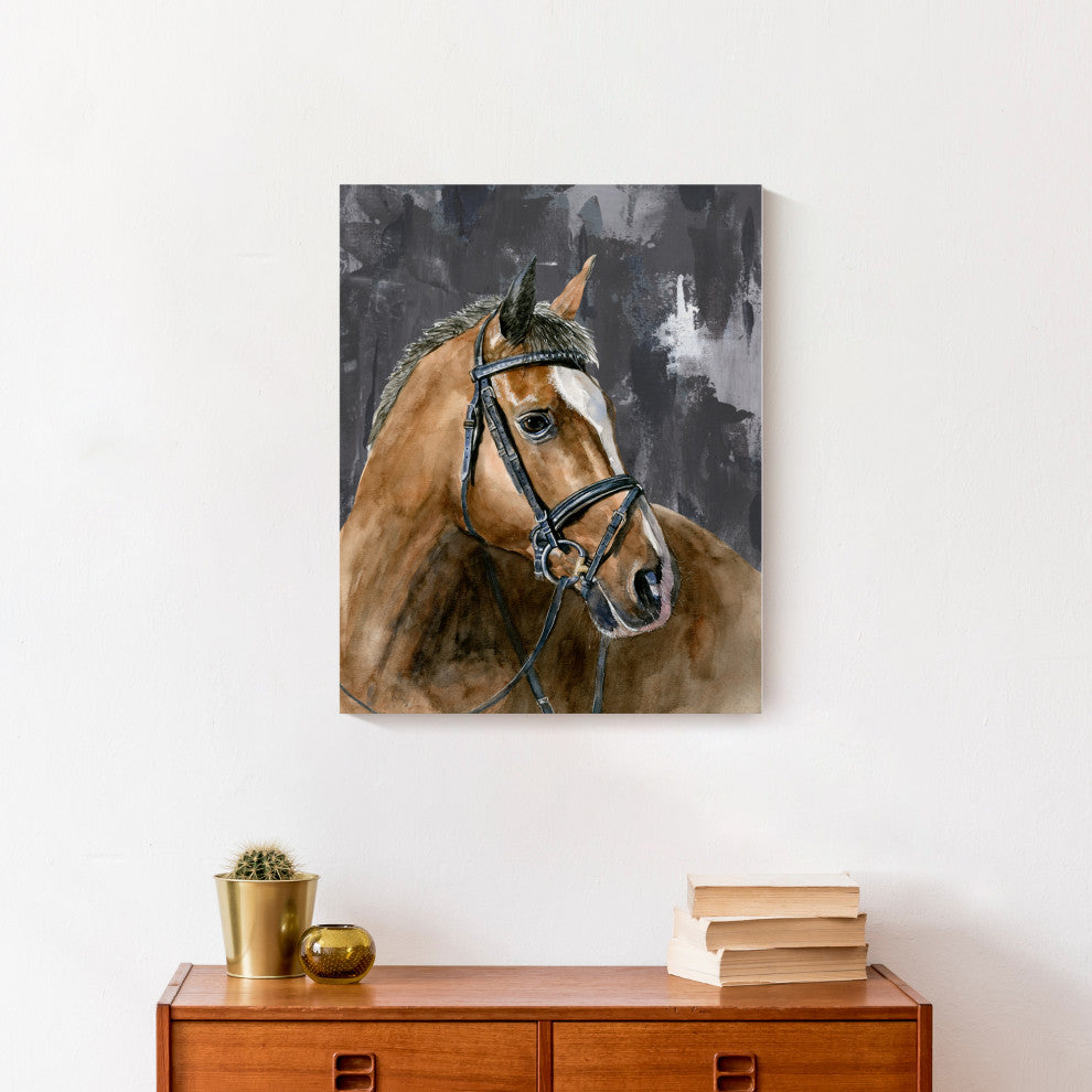 Mono Stoic Horse 16x20 Canvas Wall Art