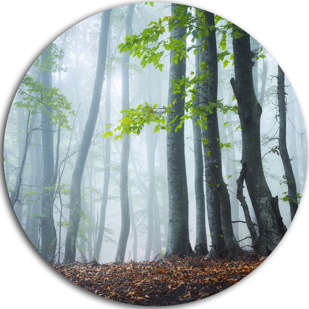 Green Leaves In Old Forest, Landscape Photo Disc Metal Artwork, 11"