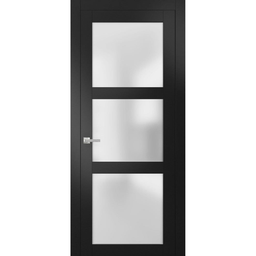 Solid French Door Frosted Glass | Lucia 2552 Matte Black | -24 x 80