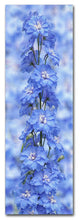 Cora Niele ''Blue Larkspur'' Canvas Art