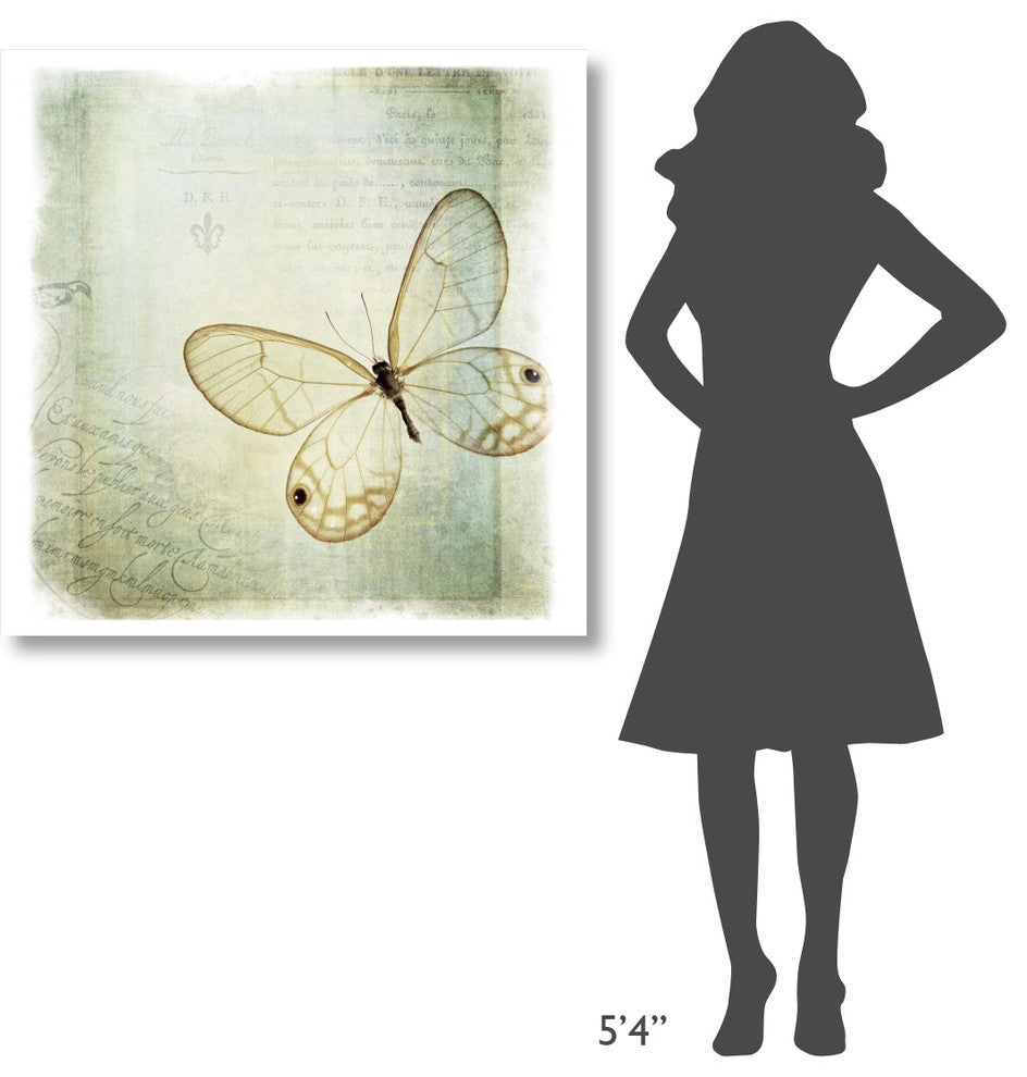 "Floating Butterfly I" Digital Paper Print by Debra Van Swearingen, 38"x38"