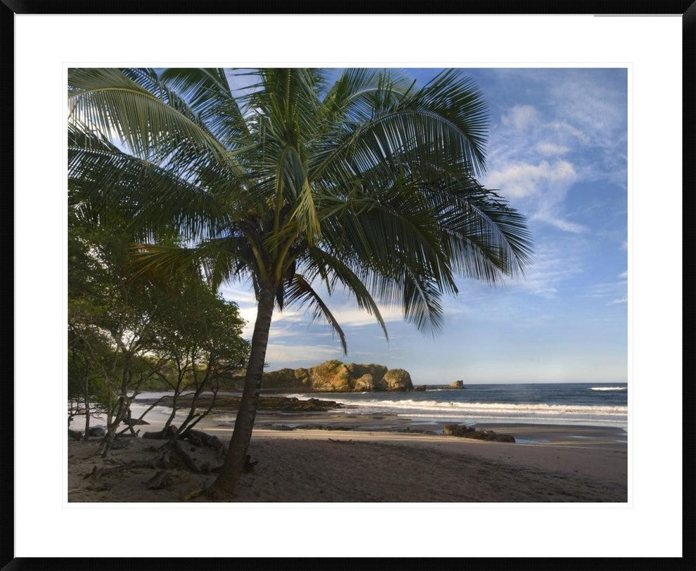 "Palm trees line Pelada Beach, Costa Rica"  by Tim Fitzharris, 40x32"