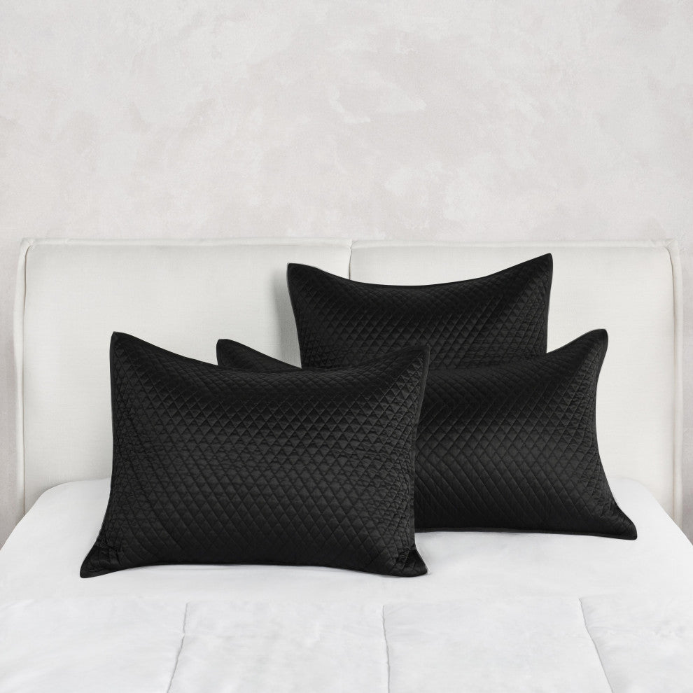 Winthrop 100% Sateen Black King Sham by Kosas Home, Black, Euro Sham