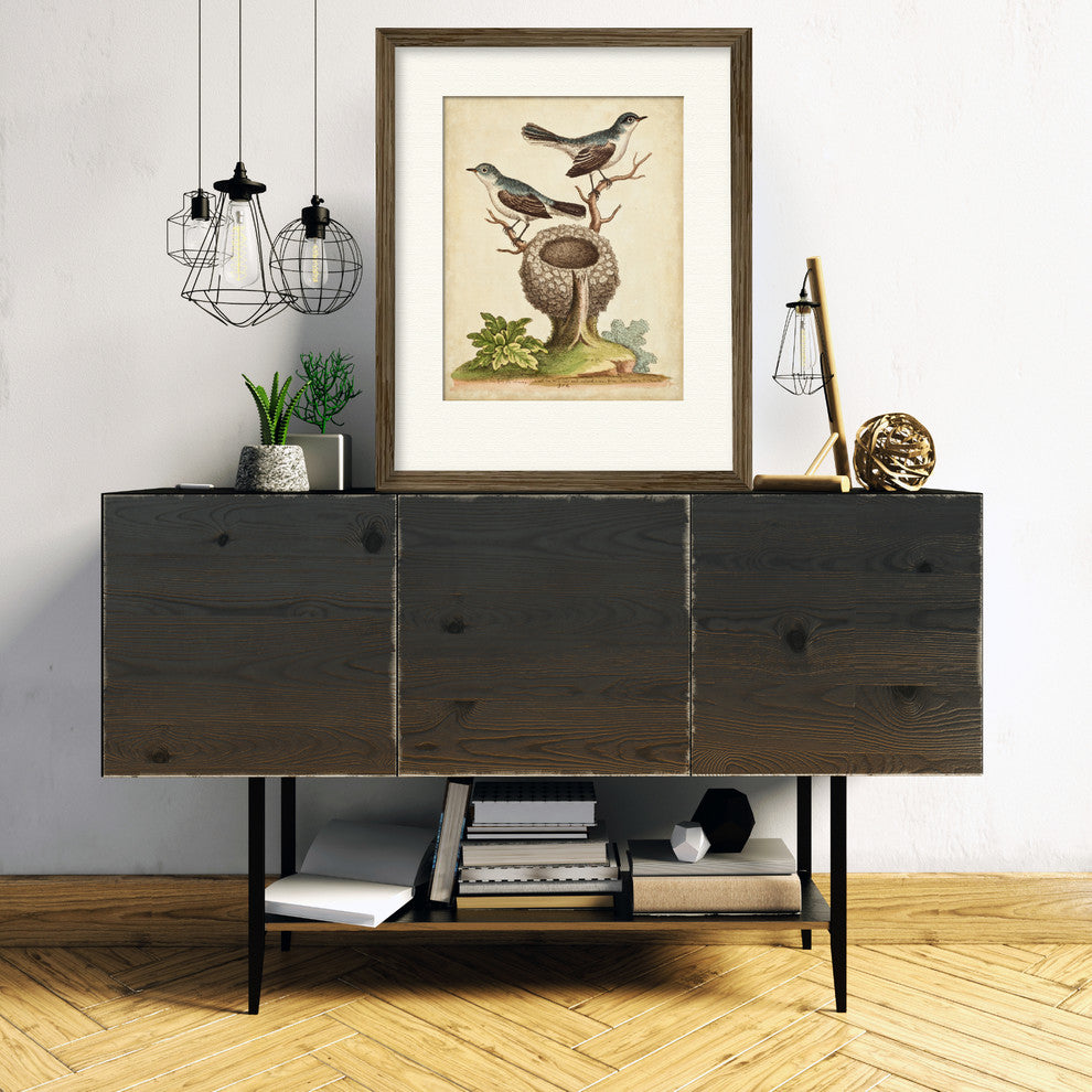 "Natural Habitat II" Gallery Collection Framed Art, 16"x20"