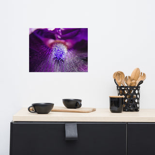 Eye of Iris Nature Photography, Floral Unframed Wall Art Print, 12" X 16"