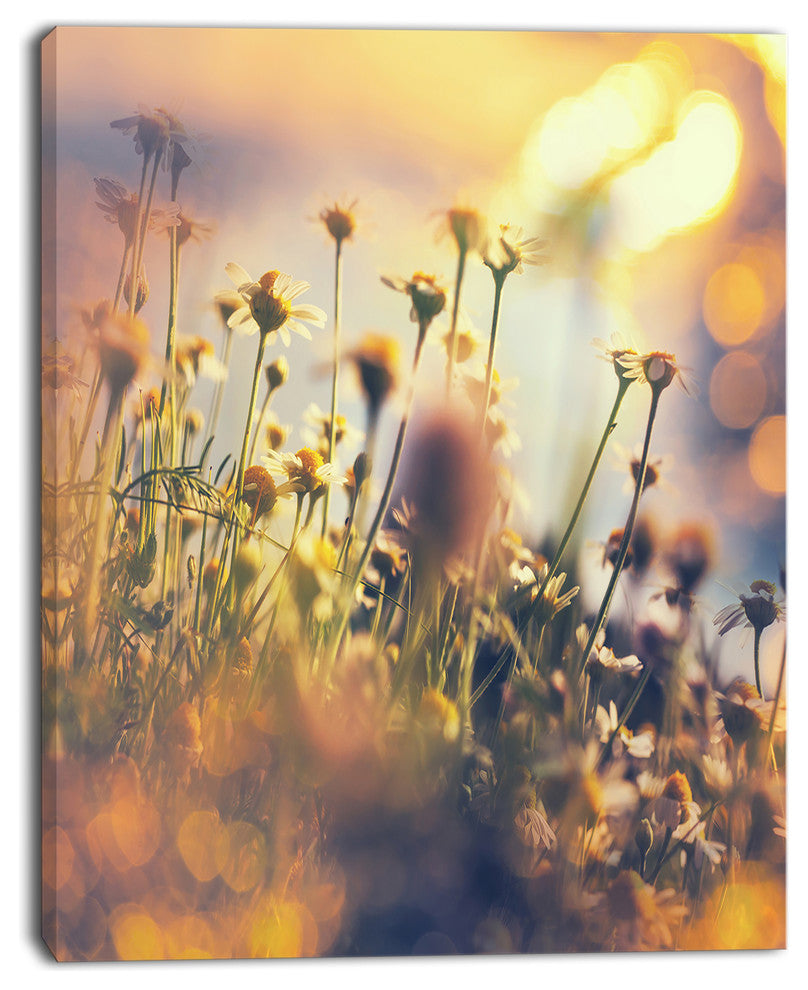 Sunny Meadow Flowers and Grass, Large Flower Canvas Art Print, 12"x20"