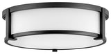 Hinkley Lowell 16" Md Flush Mount Ceiling Light, Black + Etched Opal Glass