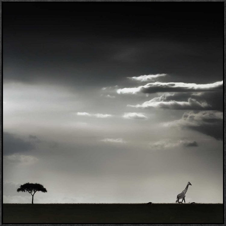 "15 Minutes Of Happiness" Framed Canvas Giclee by Piet Flour, 31x31"