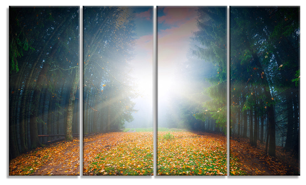 "Rising Sun Over Colorful Forest" Landscape Photo Wall Art, 4 Panels, 48"x28"