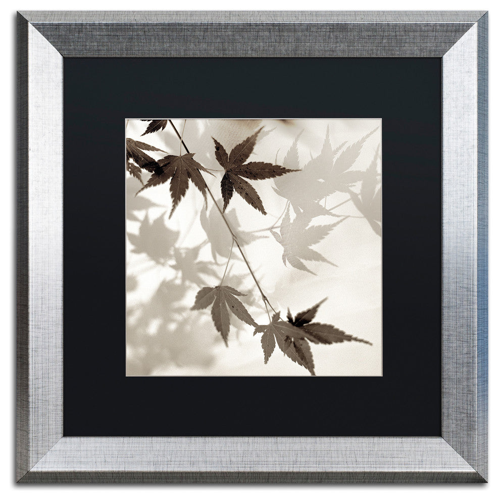 Alan Blaustein 'Florison 63' Art, Silver Frame, Black Mat, 16x16