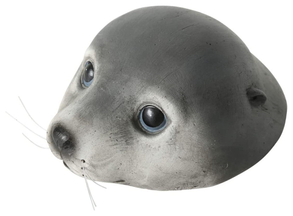 Floating Baby Seal Head