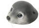 Floating Baby Seal Head