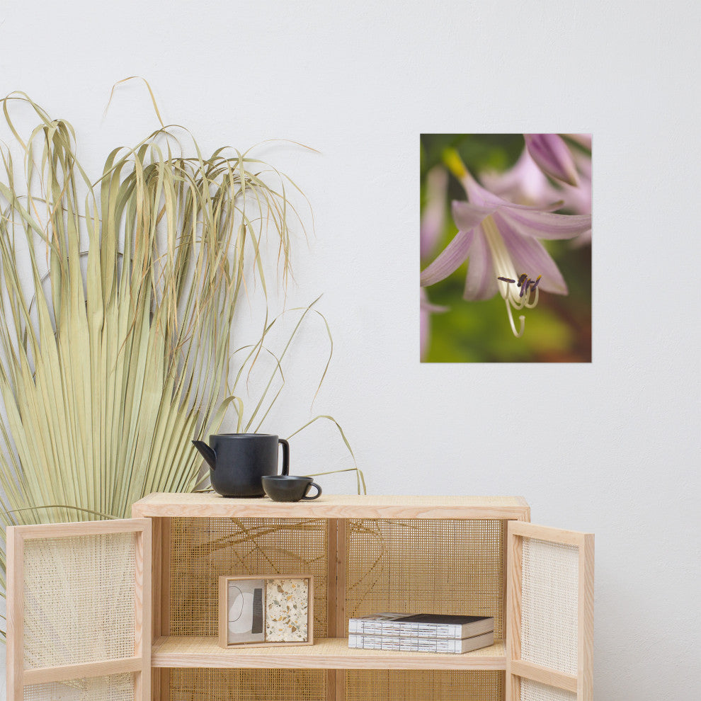 Close-up Hosta Bloom Nature Photography, Floral Unframed Wall Art Print, 18" X 24"