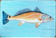 Betsy Drake Red Drum Fish 30 Inch By 50 Inch Comfort Floor Mat