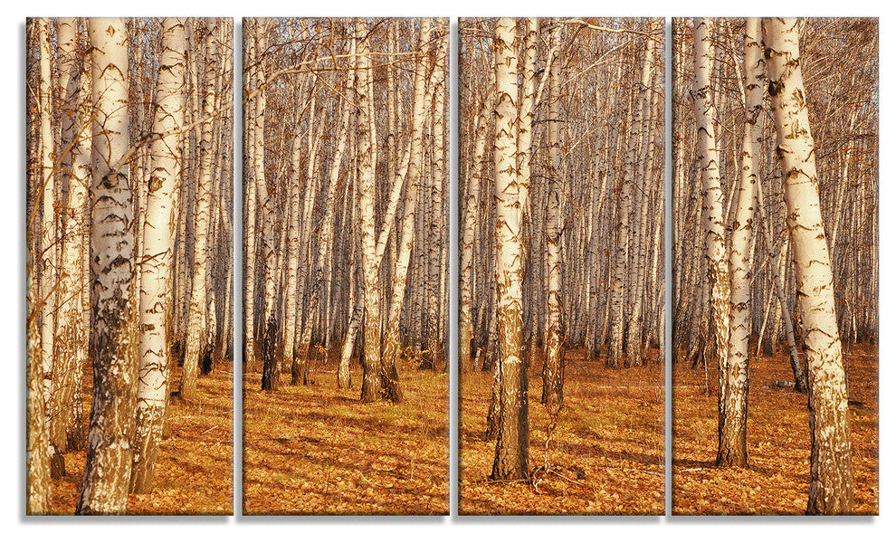 Dense Birch Forest in the Fall, Forest Canvas Art Print, 48"x28", 4 Panels