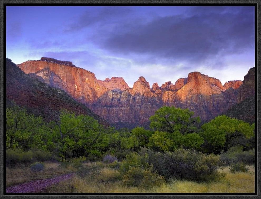 "Towers of the Virgin, Zion National Park, Utah"  by Tim Fitzharris, 17x13"