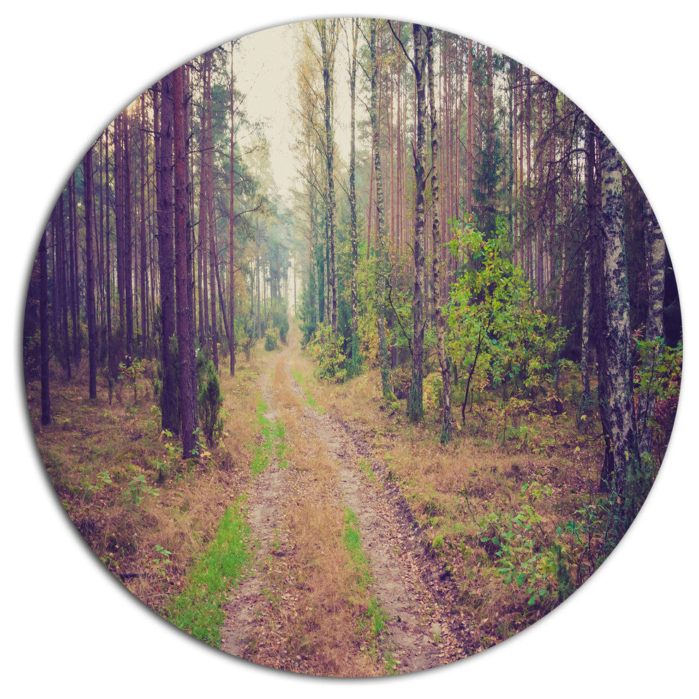 Straight Pathway In Thick Forest, Forest Large Disc Metal Wall Art, 23"