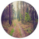 Straight Pathway In Thick Forest, Forest Large Disc Metal Wall Art, 23"