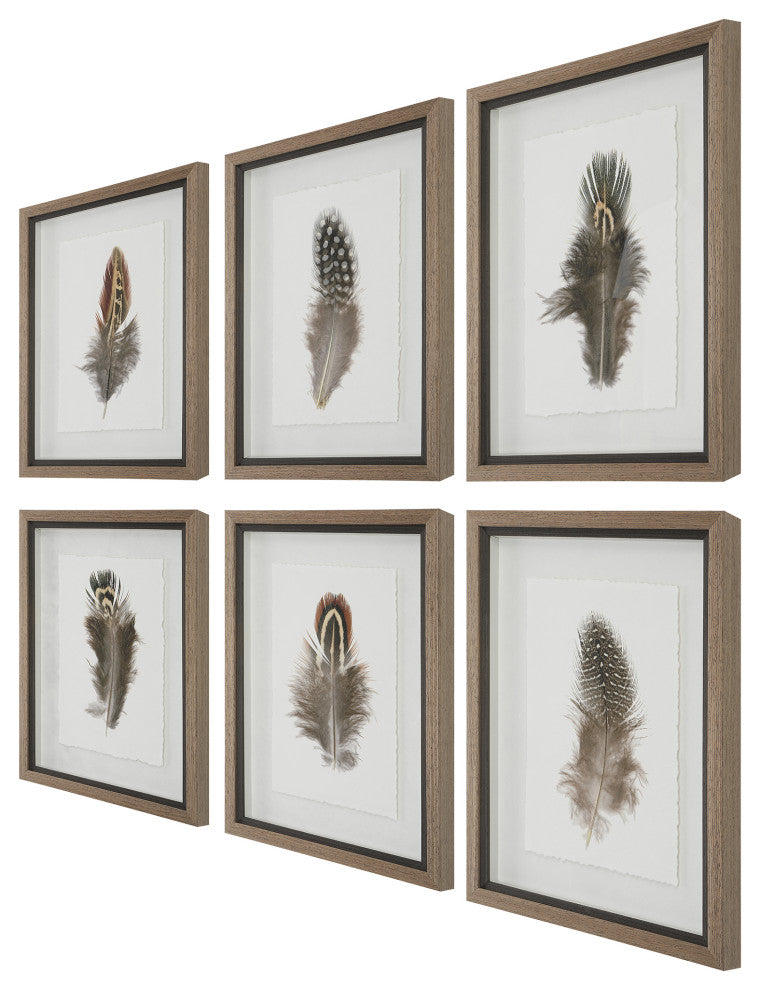Uttermost Birds Of A Feather Framed Prints, Set of 6