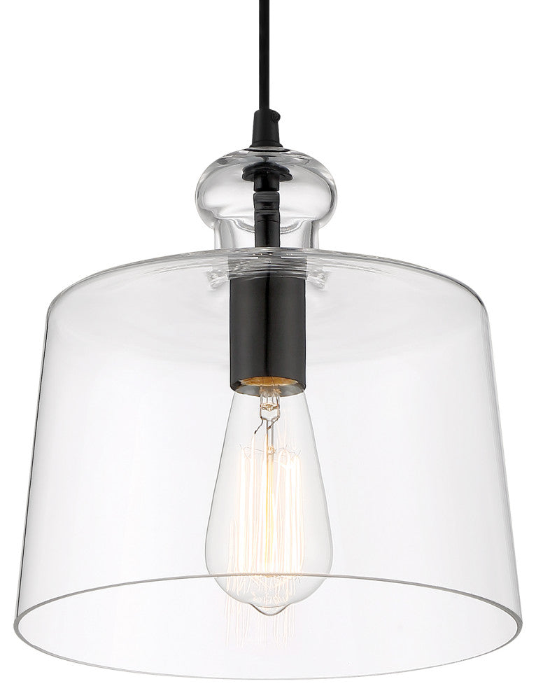 Minka Lavery Clarity 1 Light Pendant, Coal