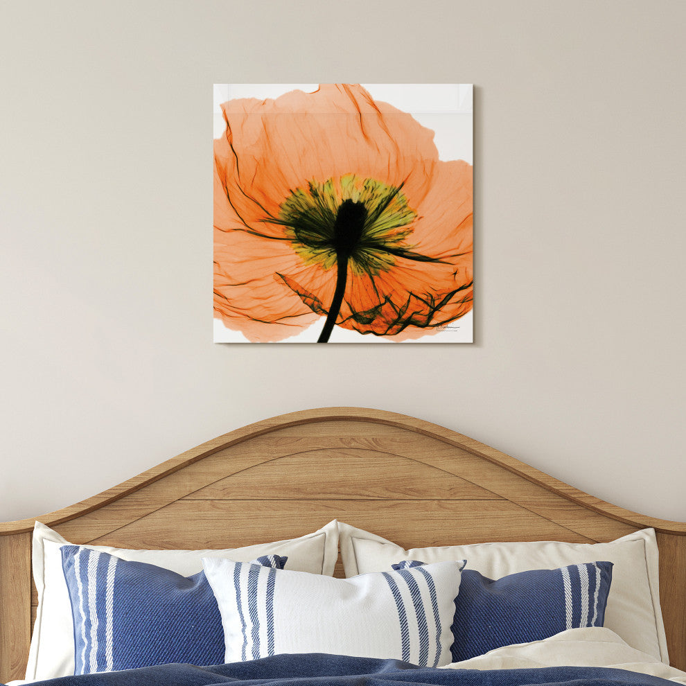 "Poppy Orange" Frameless Free Floating Panel Graphic Wall Art, 24"x24"