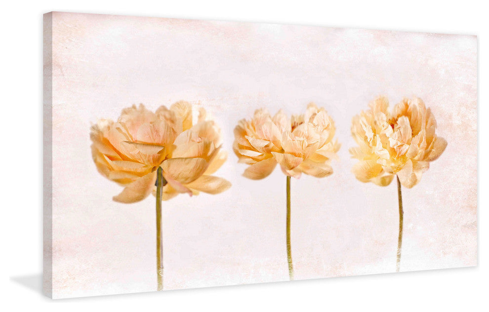 "Penoies" Painting Print on Canvas by Aryai