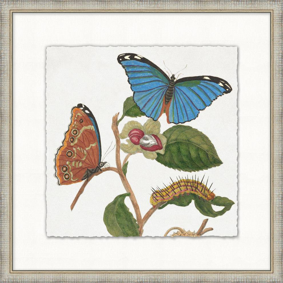 Garden Butterflies 1, Giclee Reproduction Artwork